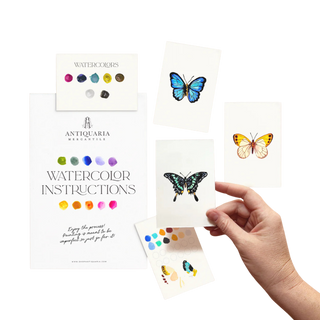 Mini Watercolor Painting Kit: Butterflies