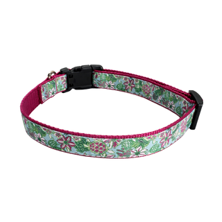 The Turtle Central Dog Collar