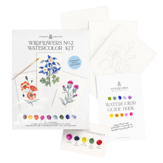 Watercolor Painting Kit: Wildflowers No.2