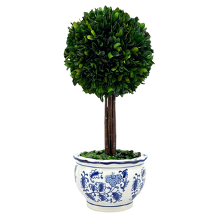 Boxwood Ball Topiary Tree