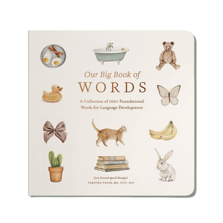 Our Big Book of First Words