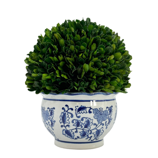 Boxwood Ball Topiary in Round Bulb