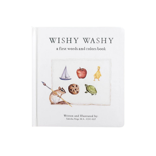 Wishy Washy: A Board Book of First Words and Colors