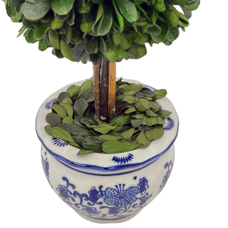 Boxwood Ball Topiary Tree