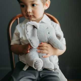 Little Penny the Elephant