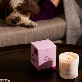 A Cozy Night In