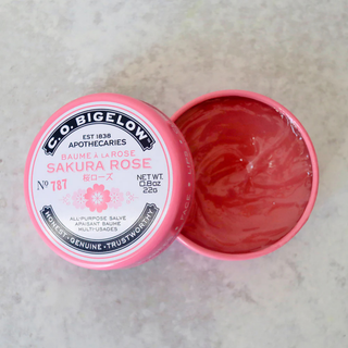 All-Purpose Salve Lip Tin