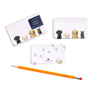 Dog Days Little Notes