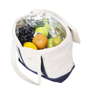 Small Canvas Lunch Cooler