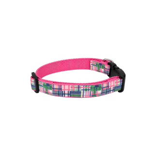 The Pink Madras Dog Collar