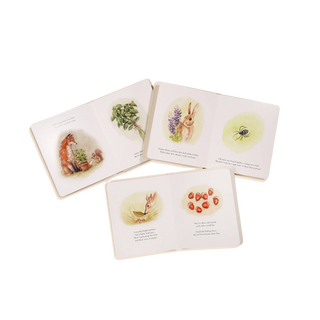 Our Little Adventures Board Book Box Set