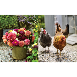 The Side Gardener