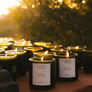 Agrigento Olive Tree Candle