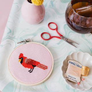 Cardinal Beginner Cross Stitch Kit