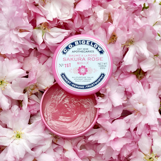 All-Purpose Salve Lip Tin