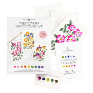 Watercolor Painting Kit: Wildflowers No.1