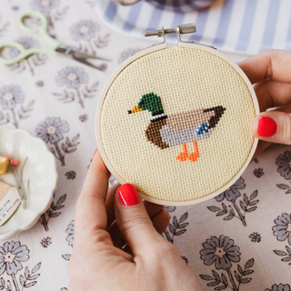 Duck Cross Stitch Kit for Beginners