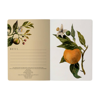Oranges and Blossoms Notebook