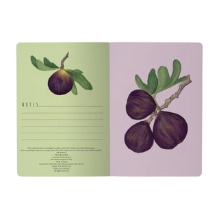 Figs on White