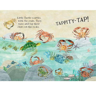 Little Turtle's Book of the Blue