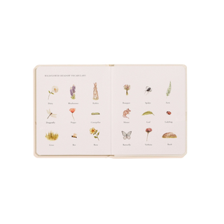 Our Little Adventures Board Book Box Set