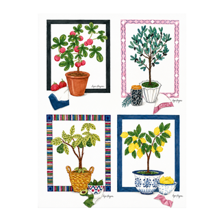 Illustrated Boxed Notecard Set of 4