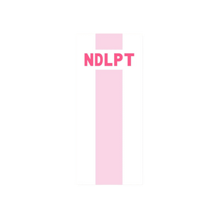 Striped Needlepoint Skinny Notepad