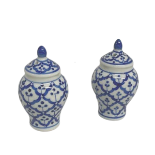 Salt and Pepper Ginger Jar Shakers