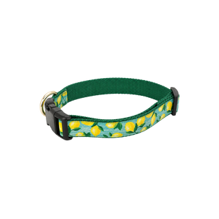The Lemoncello Dog Collar