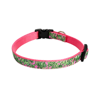 The Palm Beach Dog Collar