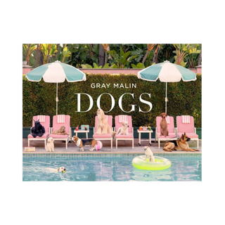 Gray Malin: Dogs
